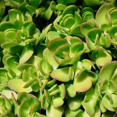 Alpstuga Click&guest - Almendros *