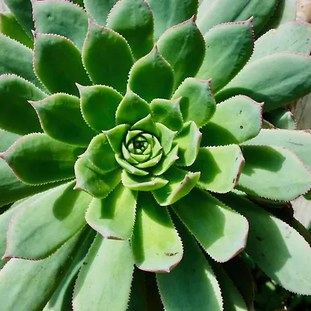 Click&guest - Almendros