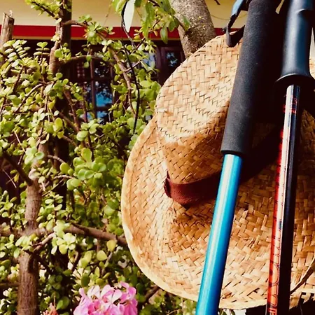 Click&guest - Almendros Alpstuga Valsequillo de Gran Canaria