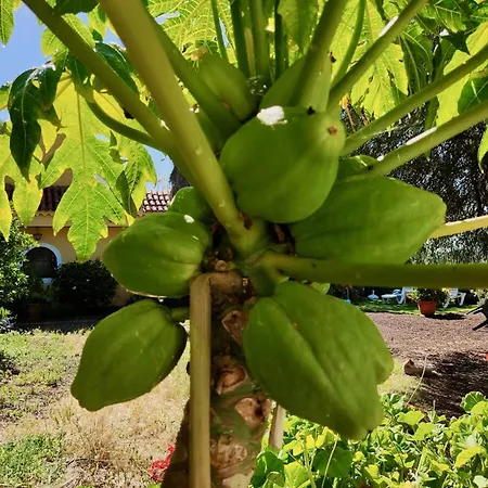 Click&guest - Almendros *