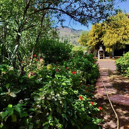 Click&guest - Almendros * Valsequillo de Gran Canaria