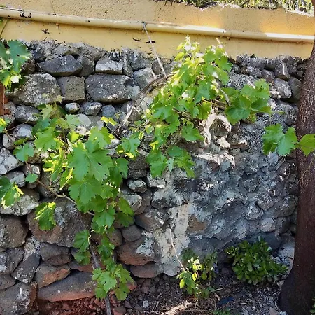 Click&guest - Almendros * Valsequillo de Gran Canaria