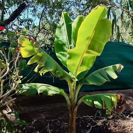 Click&guest - Almendros *