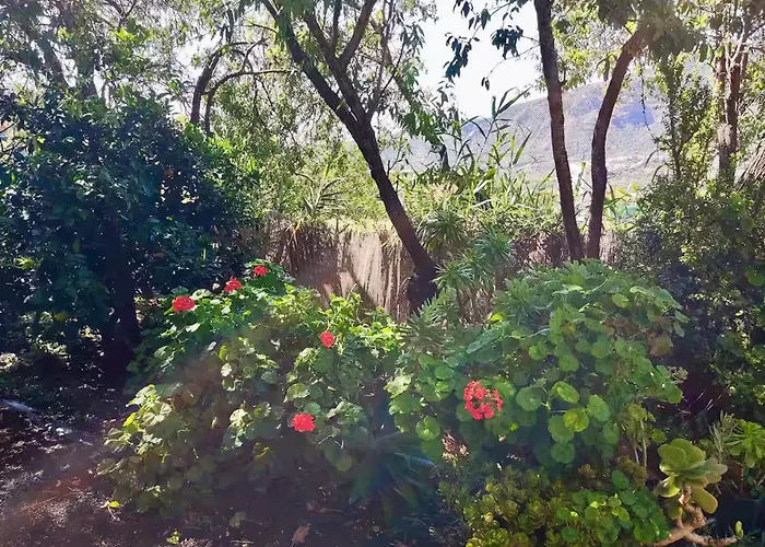 Click&guest - Almendros Valsequillo de Gran Canaria