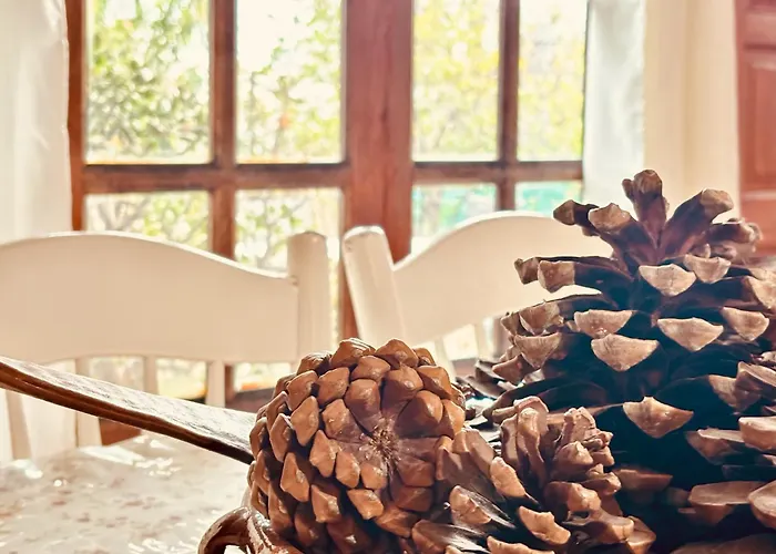 Click&guest - Almendros Valsequillo de Gran Canaria