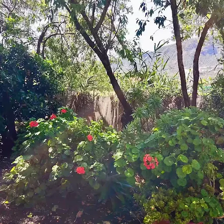 Click&guest - Almendros Valsequillo de Gran Canaria