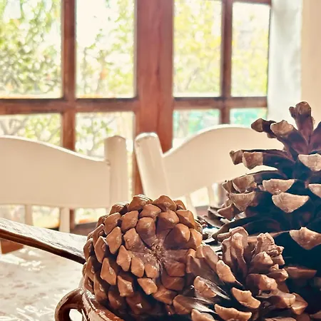 Click&guest - Almendros Valsequillo de Gran Canaria