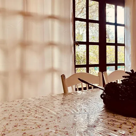 Chalet Click&guest - Almendros Valsequillo de Gran Canaria