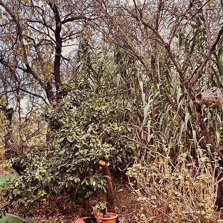 Chalet Click&guest - Almendros