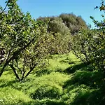 Click&guest - Almendros 木屋 巴尔塞基略