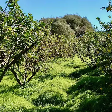 Click&guest - Almendros Chalet Valsequillo de Gran Canaria